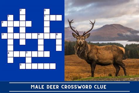 male deer crossword clue 4 letters